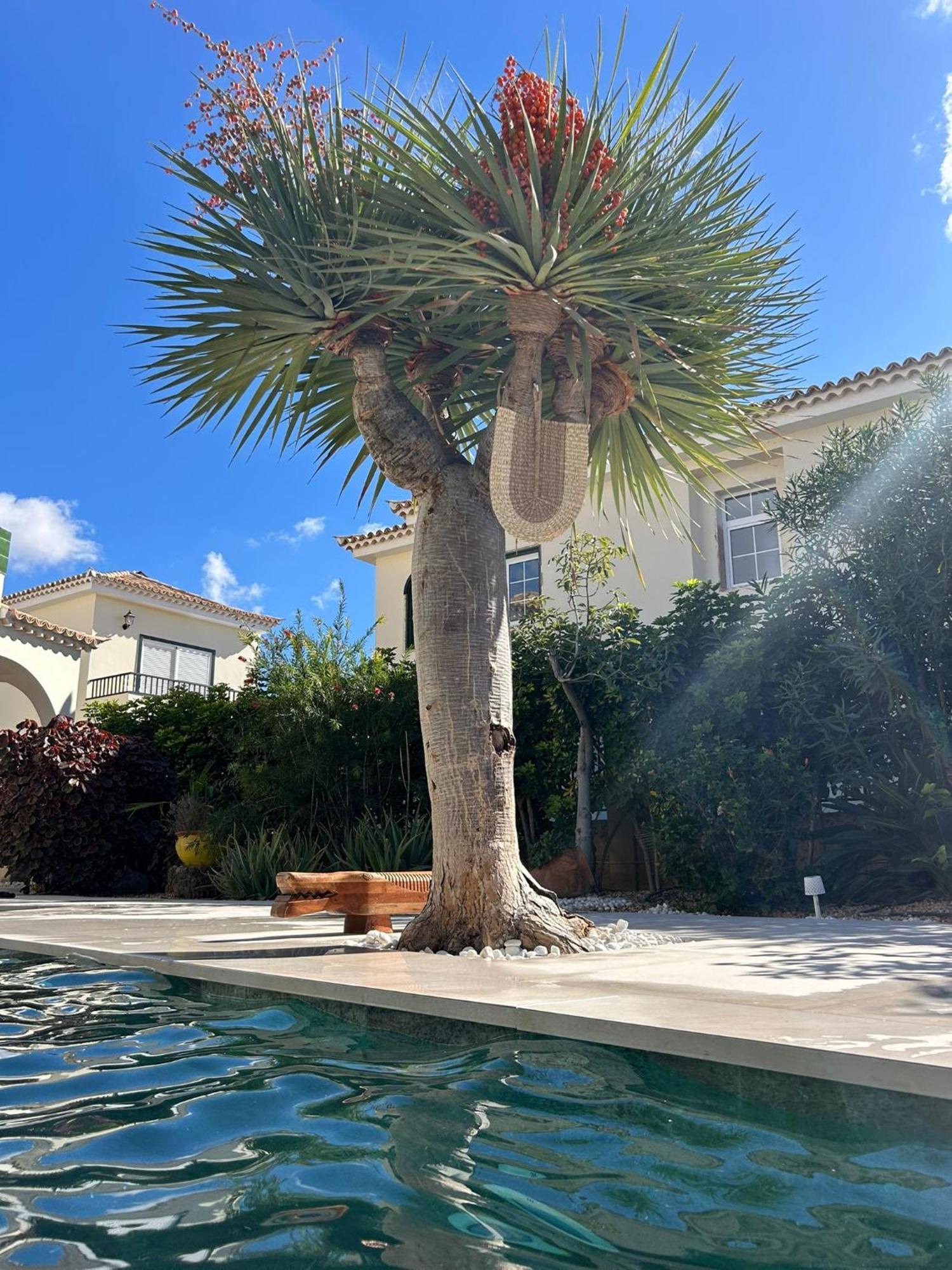Villa Ibiza - Beautiful House With Private Pool Chayofa 외부 사진