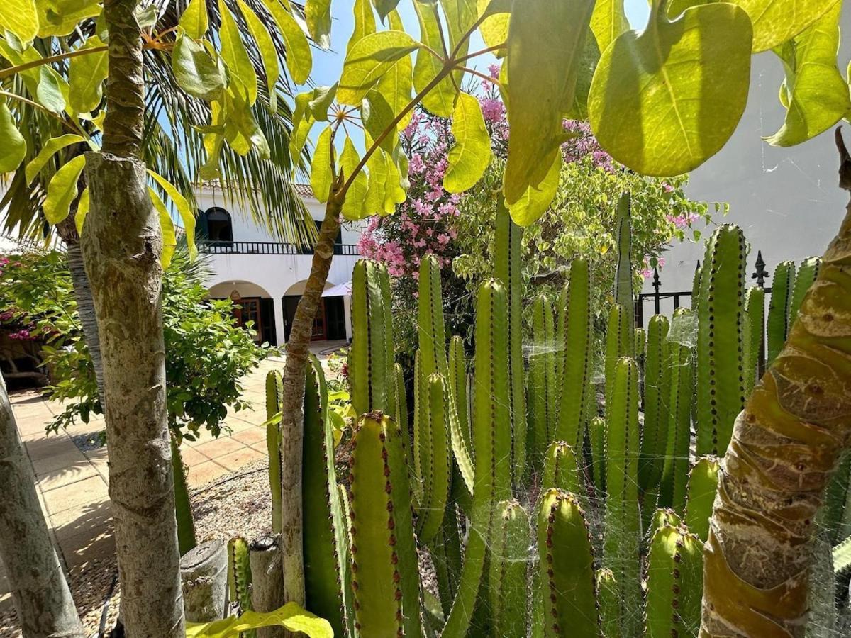 Villa Ibiza - Beautiful House With Private Pool Chayofa 외부 사진